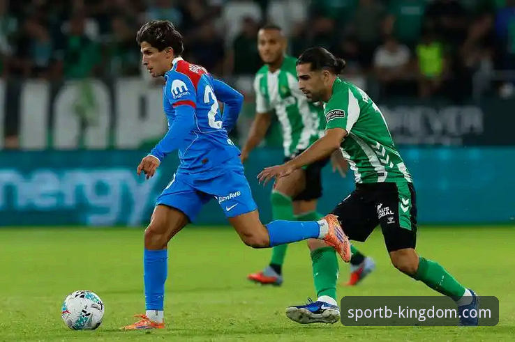西甲保级战复盘与观赛指南——b体育平台带你深度解析马竞二队如何终结瓦伦西亚希望
